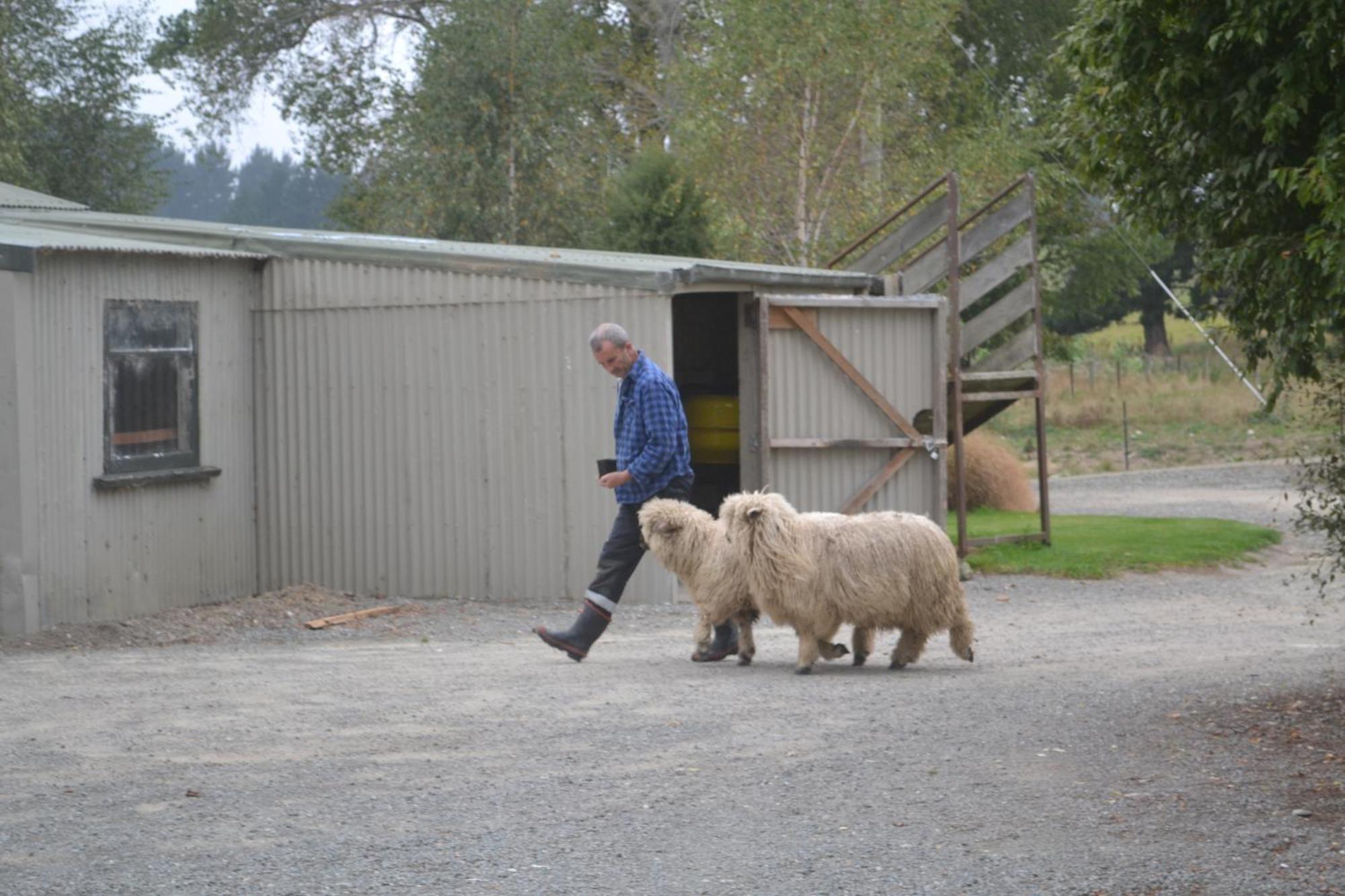 Highlands On Homestead Oamaru Eksteriør bilde