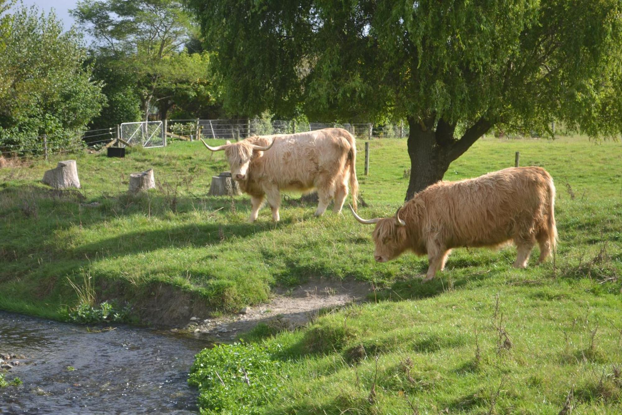 Highlands On Homestead Oamaru Eksteriør bilde