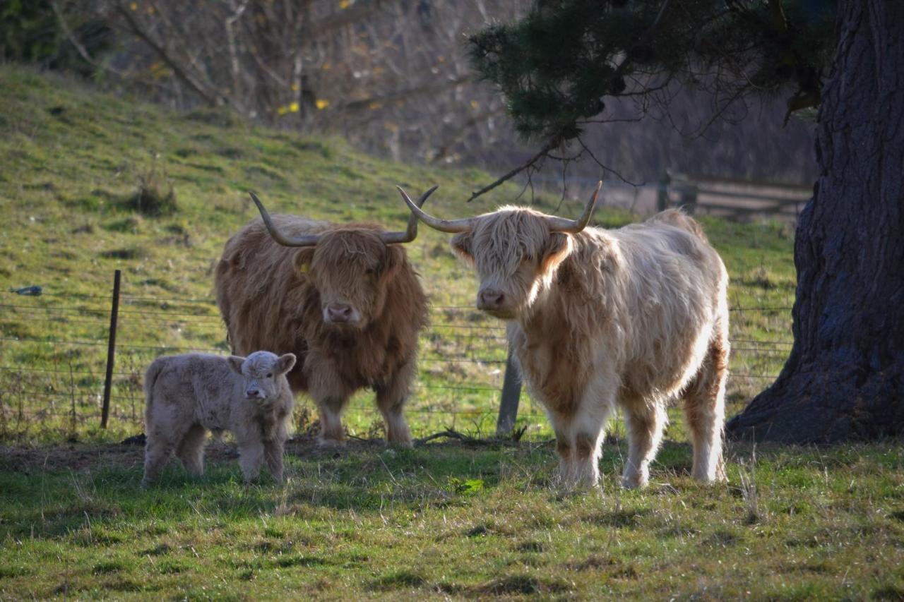 Highlands On Homestead Oamaru Eksteriør bilde
